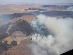 Сэлэнгэ аймагт бүртгэгдсэн 3 түймрийг унтраахаар ажиллаж байна