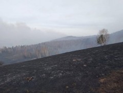 Сэлэнгэ аймгийн Хүдэр суманд гарсан ойн түймрийг цурманд орууллаа