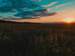 Ихэнх нутгаар дулаарч хуурайшилт нэмэгдэнэ