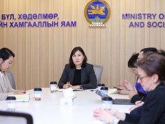 Хөдөлмөр эрхлэлтийг дэмжих төсөл 86 хувийн гүйцэтгэлтэй байна