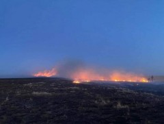 Ой, хээрийн түймрийн өртөх байдлыг тодорхойлоход 7.8 хувь нь маш өндөр байна