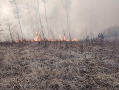 Норовлин суманд гарсан ойн түймрийг унтраахаар ажиллаж байна