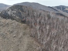 Сэлэнгэ аймгийн Зүүнбүрэн суманд гарсан ойн түймрийг бүрэн унтраалаа
