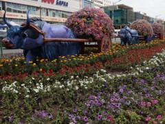 ЦАГ АГААР: Улаанбаатарт өдөртөө 31 хэм дулаан