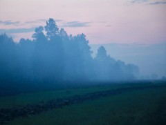 Түймрийн голомтод удирдлага, зохион байгуулалтаар ханган ажиллаж байна