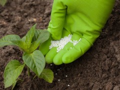 Бордооны хөнгөлөлт үзүүлнэ 