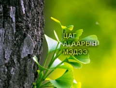 ЦАГ АГААР: Улаанбаатарт өдөртөө 28 хэм дулаан 