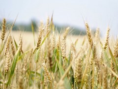 Ирэх саруудын цаг агаарын ерөнхий төлөв
