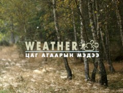 ЦАГ АГААР: Улаанбаатарт шөнөдөө 14 хэм дулаан 