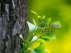 ЦАГ АГААР: Улаанбаатарт өдөртөө 23 хэм дулаан