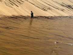 Мухартын голын ундаргыг хамгаалах, элсний нүүдлийг сааруулах чиглэлээр анхаарч ажиллана