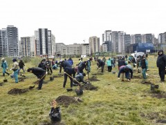 “Парламентын төгөл” байгуулав 