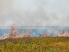 Дорнод аймагт гарсан хээрийн гал түймрийг бүрэн унтраалаа