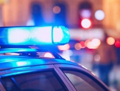 ЦЕГ:11 этгээдийг баривчилж, дөрвөн төрлийн бодис хураан авчээ