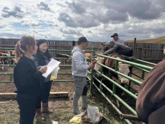 Мал сүргийг ялган тэмдэглэж, улсын бүртгэлд хамруулах ажил үргэлжилж байна