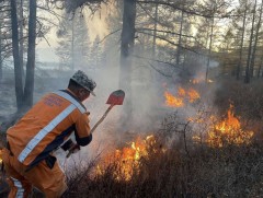 Ойн түймрийг цурманд оруулахаар ажиллаж байна