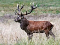 Иргэдийн анхааралд!