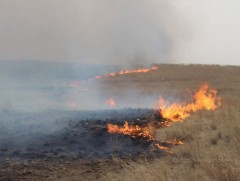 Хээрийн түймрүүдийг бүрэн унтраалаа