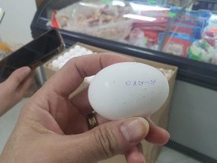 “Импортын хүнсний худалдаалалт-хяналт” арга хэмжээг зохион байгуулж байна