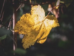 Ирэх 10 хоногийн цаг агаарын урьдчилсан төлөв