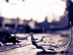 Ухаан суухыг нь хүлээсээр...