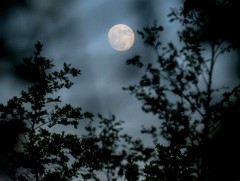 ЦАГ АГААР: Улаанбаатарт шөнөдөө 18 хэм хүйтэн