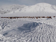 Баян-Өлгий, Увс, Ховдын ихэнх нутгаар зудын эрсдэл үүсэх төлөвтэй байна
