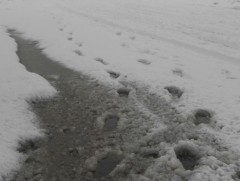 18 мм хүртэл хэмжээтэй бороо, нойтон цас, цас орлоо