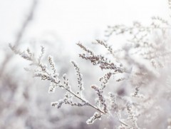 ЦАГ АГААР: Улаанбаатарт өдөртөө 8 хэм хүйтэн