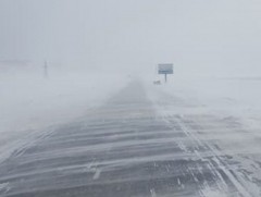 Цасан шуургатай үед уруудсан малынхаа араас явахгүй байхыг анхааруулж байна