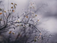 ЦАГ АГААР: Улаанбаатарт өдөртөө 3 хэм хүйтэн