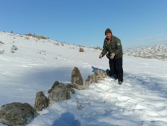 Зэрлэг амьтдад зориулан био техникийн арга хэмжээ авч байна