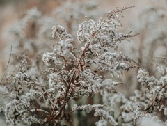 ЦАГ АГААР: Улаанбаатарт өдөртөө 2 хэм хүйтэн