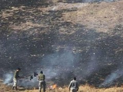 Дорнод аймагт гарсан гурван  хээрийн түймрийг унтраажээ   