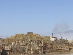 Ховд аймгийн 10 орчим суманд зудын эрсдэл өндөр байна