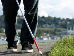 Улсын хэмжээнд хөгжлийн бэрхшээлтэй иргэдийн 18 хувь нь хөдөлмөр эрхэлж байна