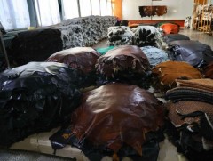 МҮХАҮТ: 2024 оны нийт экспортын 0.9 хувийг арьс шир боловсруулах салбар эзэлж байна  