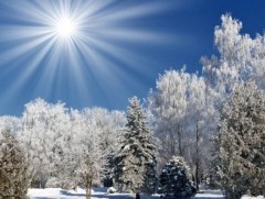 Өвлийн саруудад төв болон зүүн аймгуудын нутгаар цас ахиу орж, цасны зузаан нэмэгдэх хандлагатай б..