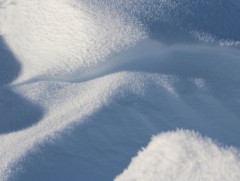 Ойрын 10 хоногийн цаг агаарын урьдчилсан төлөв 