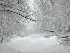 ЦАГ АГААР: Улаанбаатарт өдөртөө 18 хэм дулаан