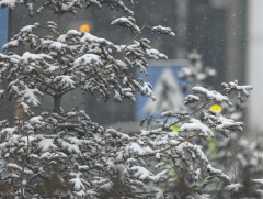 ЦАГ АГААР: Улаанбаатарт өдөртөө 12 хэм хүйтэн