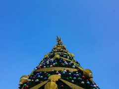 Нийслэлийн 9 дүүргийн 14 байршилд зассан сүлд модны гэрлийг өнөөдөр 19:00 цагт зэрэг асаана