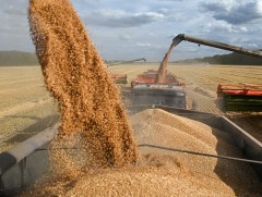 Ургац алдсан тариаланчдын зээлийн эргэн төлөлтийг 6 хүртэл сараар хойшлуулна