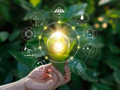 Ногоон шошго ба цэвэр үйлдвэрлэл