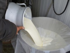 Дотоодын сүүний нийлүүлэлт өссөн ч хуурай сүүний импорт буураагүй