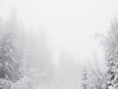 Ойрын 10 хоногт цаг агаар ямар байх вэ 