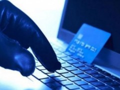 Цахим гэмт хэргийн тоо өнгөрсөн оны мөн үеэс 33.6 хувиар өсжээ