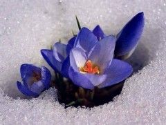 Хаврын саруудын цаг агаарын ерөнхий төлөв