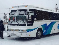 “Улаанбаатар хот-Рашаант сум-Улаанбаатар хот” чиглэлд нийтийн тээвэр явна 