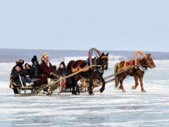 2026 он эхлээд хоёр долоо хоногийн хугацаанд гадны 20 мянга гаруй жуулчин иржээ 